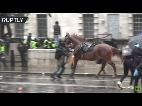 حصان بوليسي يهرب من ساحة التظاهر خلال المواجهات بين الشرطة والمحتجين في لندن